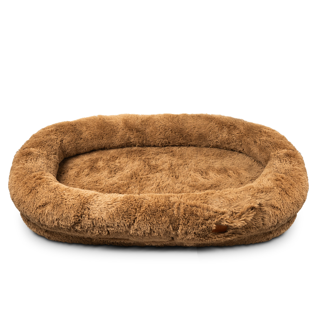 Human Dog Bed